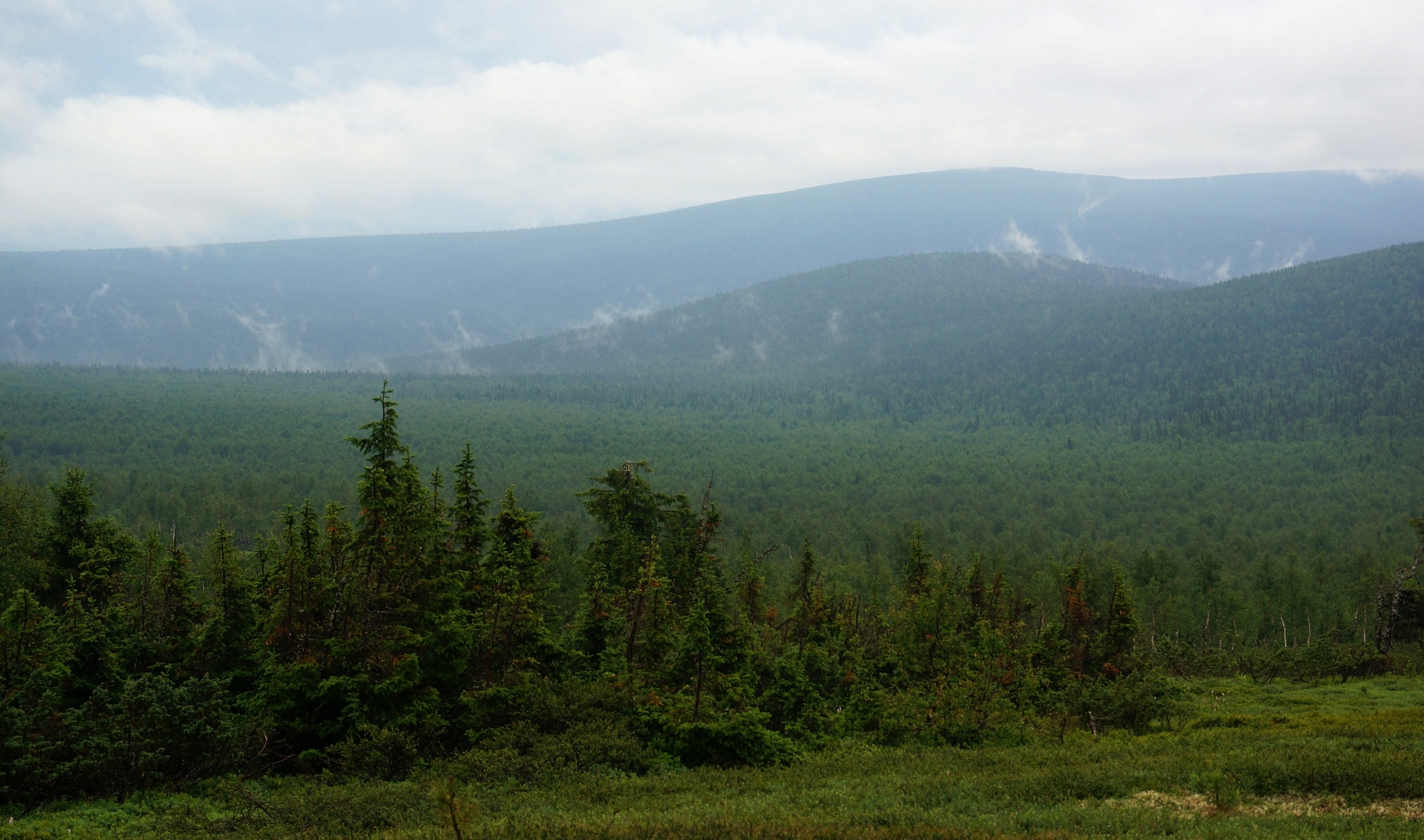 First hike or how to get lost in the mountains - My, Hike, Hiking, Northern Ural, Mountain tourism, Longpost