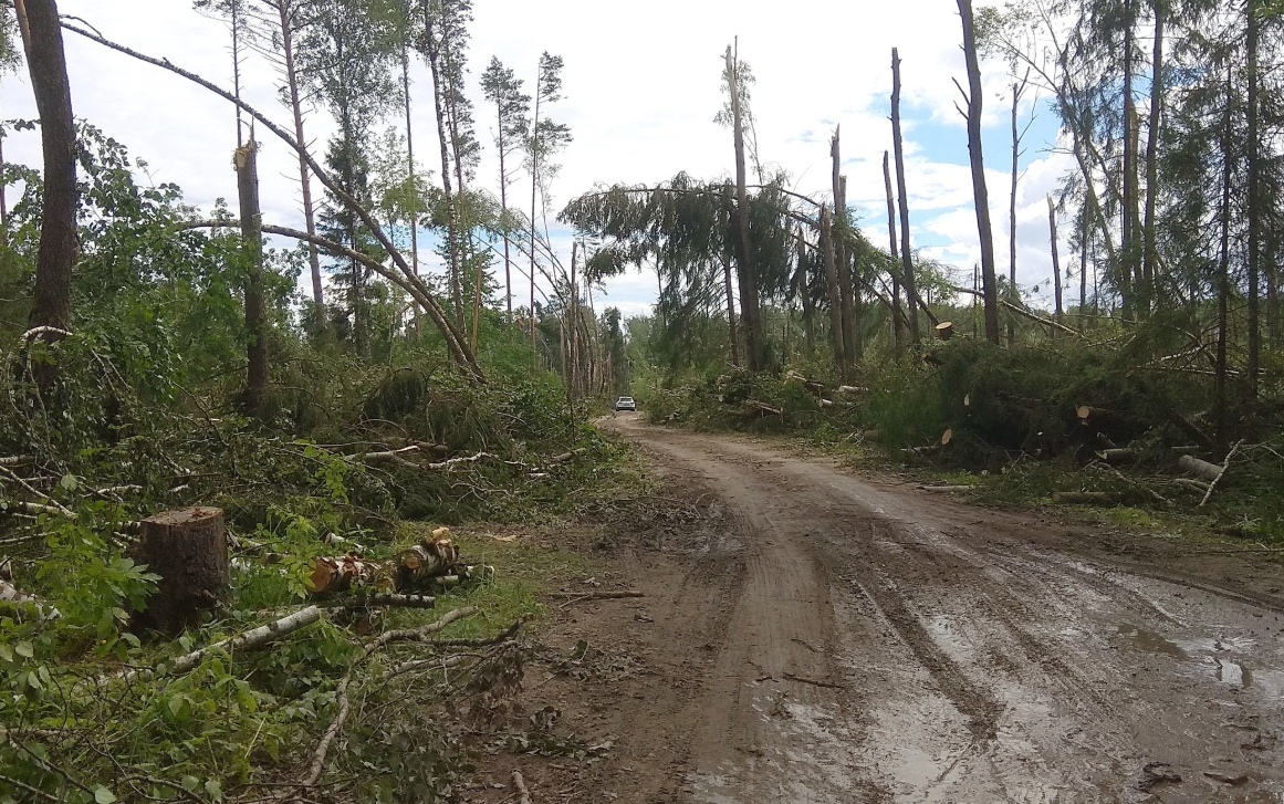 Consequences of a tornado in the Kolomensky district - Nature, Natural disasters, Tornado, Images, Longpost