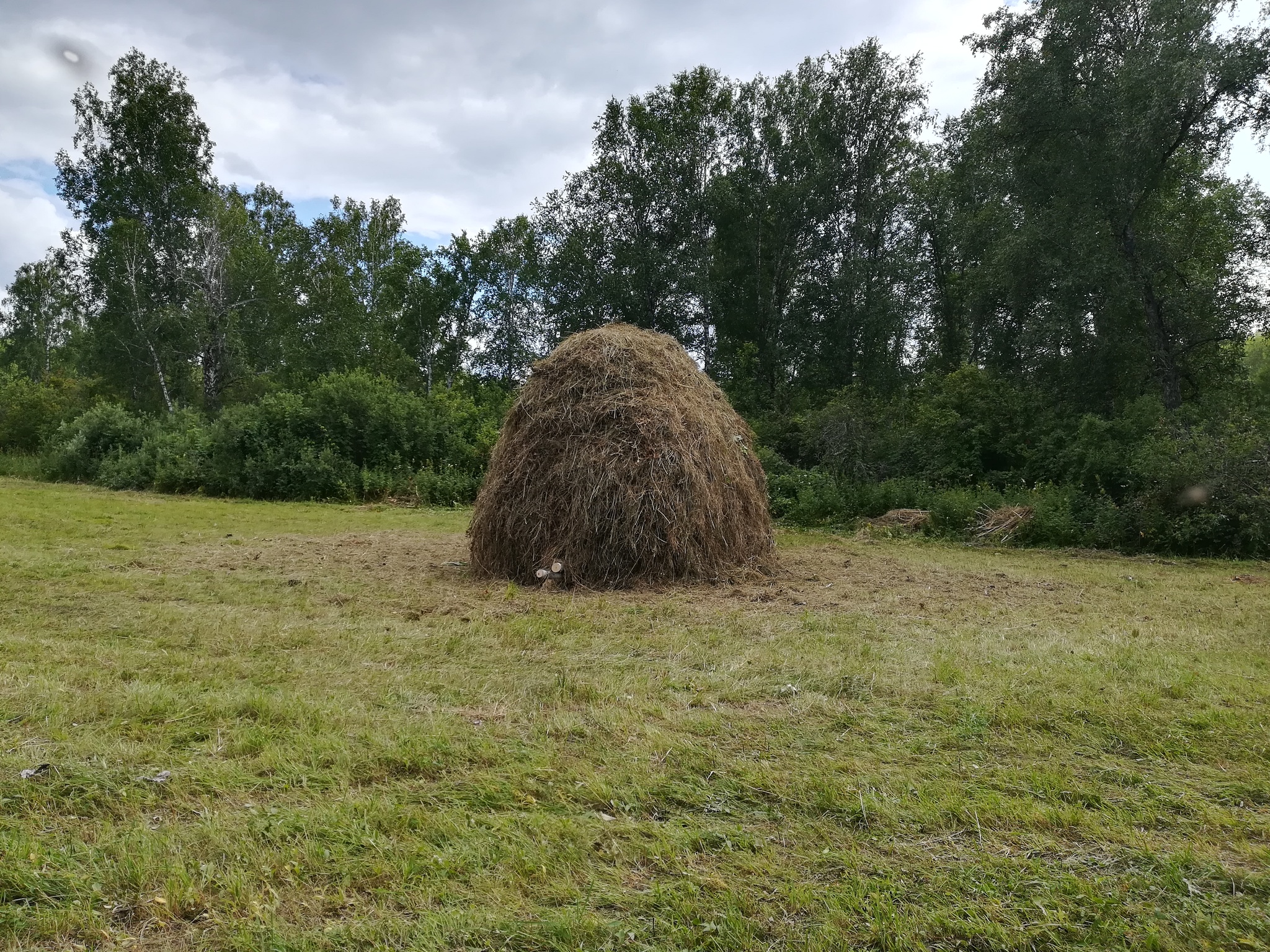 Last mowing - My, Summer, Mowing, Mushrooms, Nature, Longpost