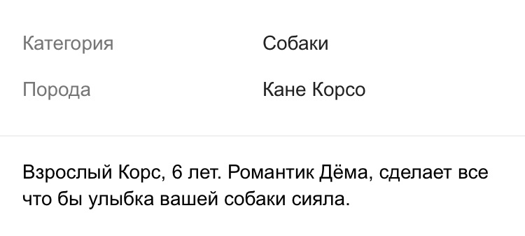 Авито - Тиндер для собак - Моё, Авито, Объявление на авито, Собака, Длиннопост