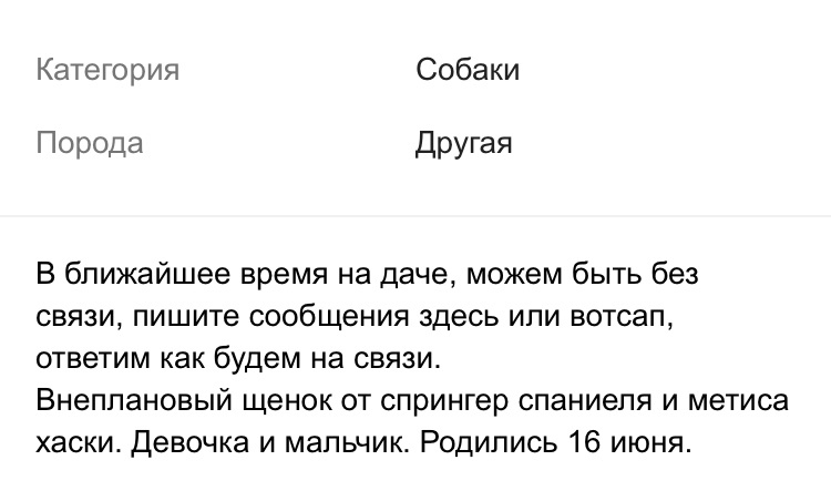 Авито - Тиндер для собак - Моё, Авито, Объявление на авито, Собака, Длиннопост