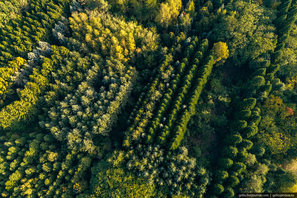 The Moscow region from above is the heart of Russia. Part 1 - Moscow region, The photo, Russia, Longpost