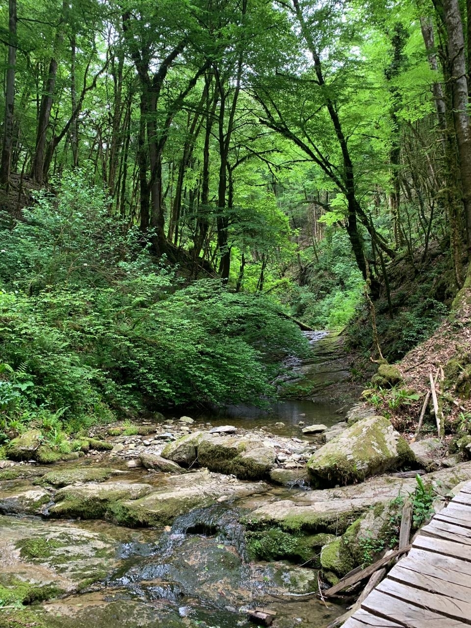 Walk to the Upper Azhek waterfall - My, Hiking, Sochi, Waterfall, Nature, Longpost