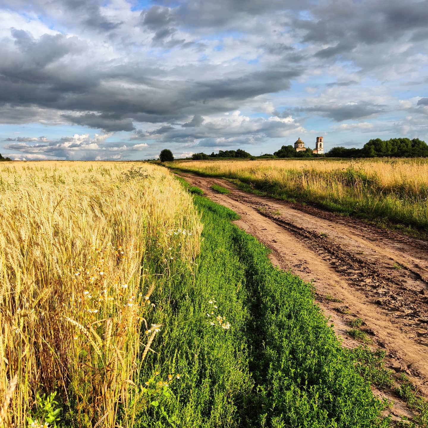 Rest for the soul - My, Native open spaces, Yuriev-Polsky, Expanse, Longpost