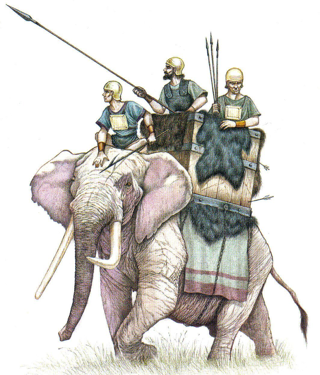 Боевые слоны в Карфагенских армиях | Пикабу