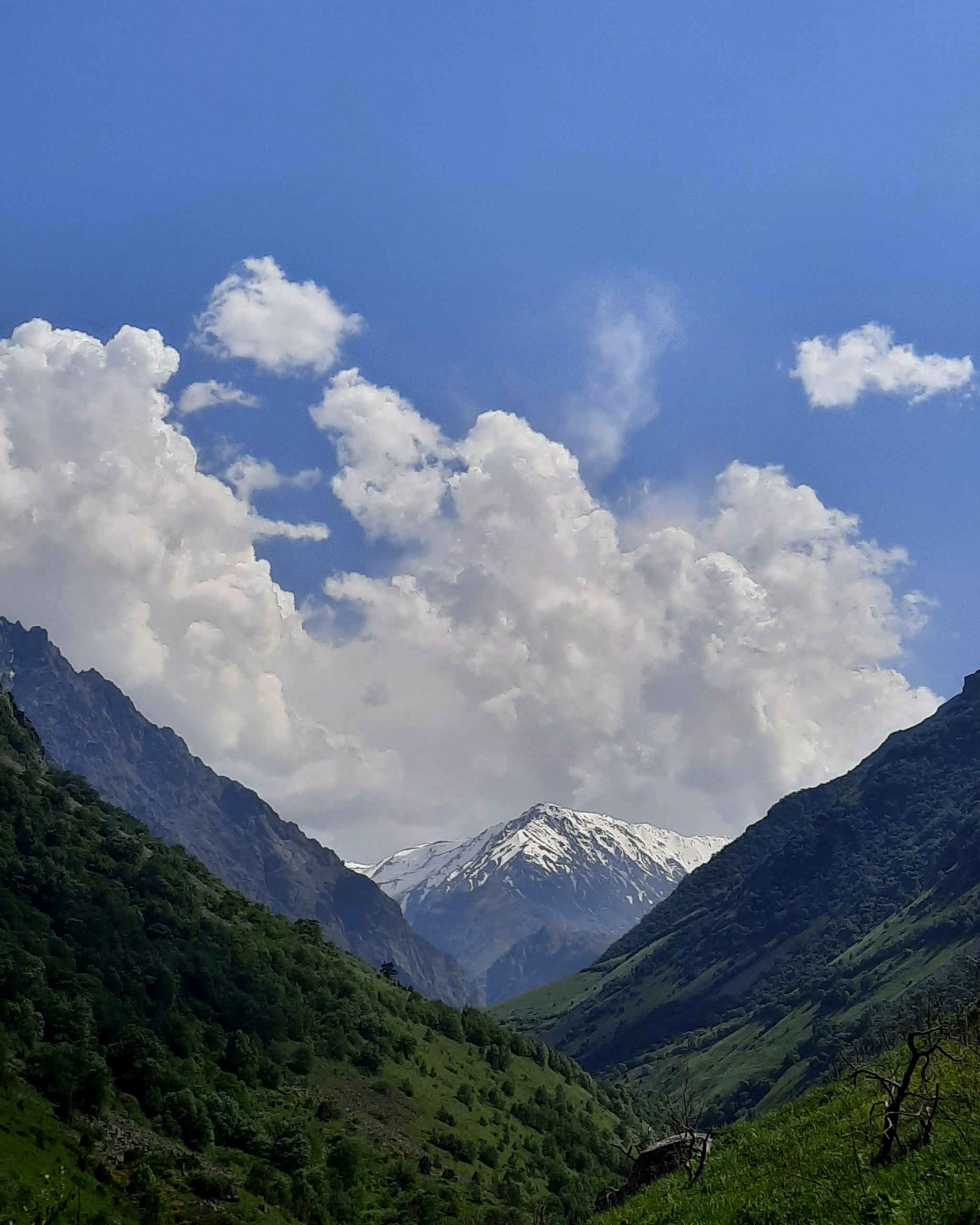 Горы Кавказа Владикавказ