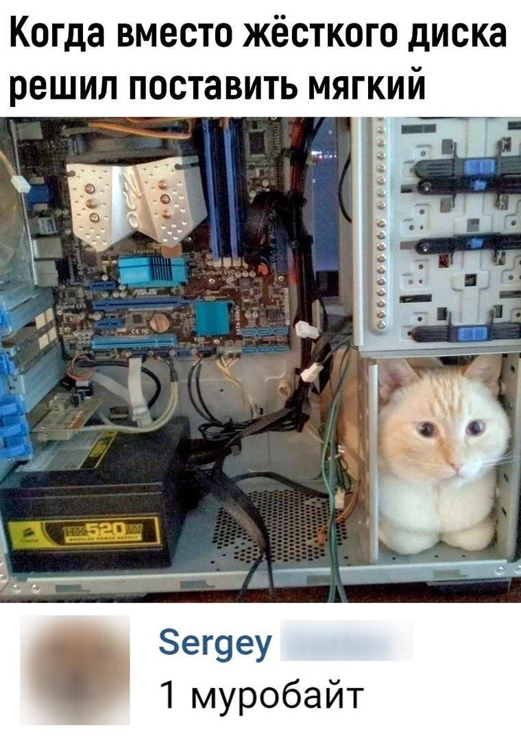 Murobyte - cat, System unit, HDD, Soft Disc, Computer, Images, Picture with text, Longpost