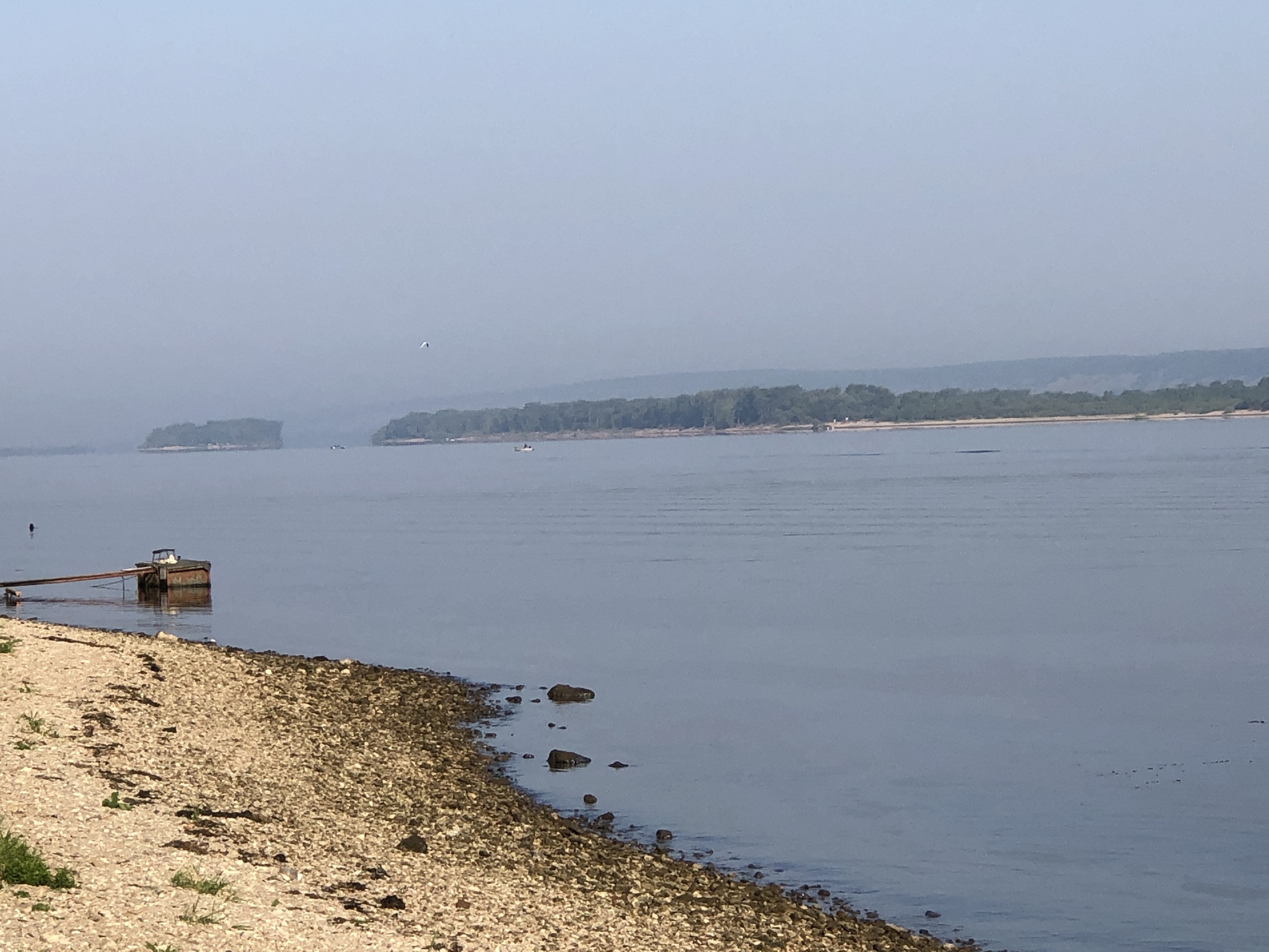 Morning on the Volga - My, Morning, Summer, Nature, The photo, Longpost, Volga river