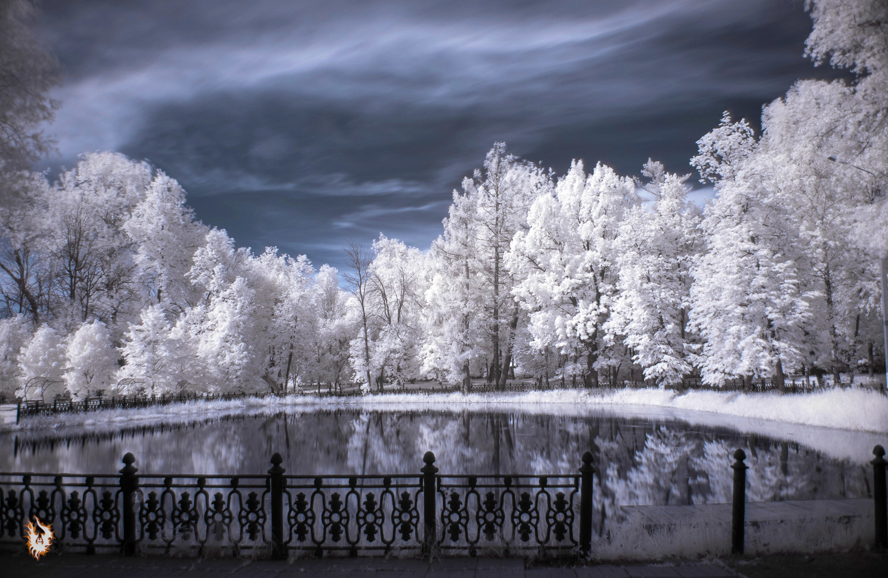 Tests in IR photography - My, Infrared shooting, Nikon, Landscape, Longpost