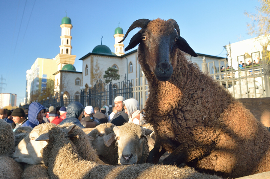 Safe Eid al-Adha. How to celebrate without getting sick - My, Islam, Eid al-Adha, Religion