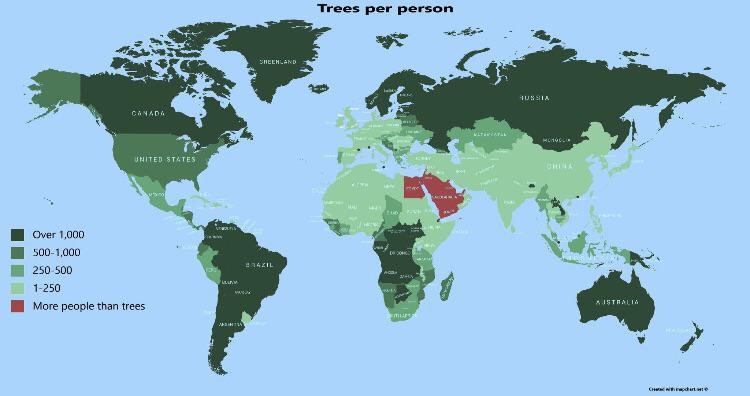 Number of trees per person - Statistics, World map, Tree