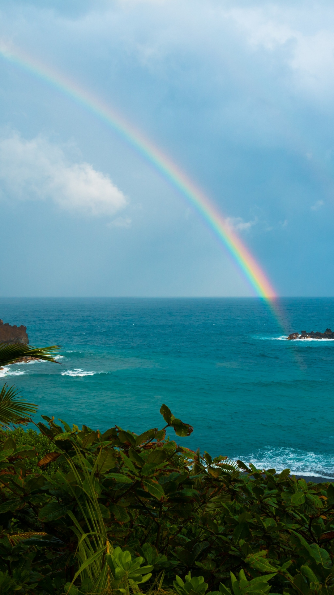 Rainbow - Радуга, Фотография