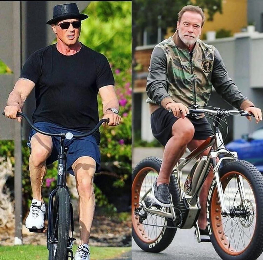 Two action legends - Sylvester Stallone, Arnold Schwarzenegger, Actors and actresses, Celebrities, The photo, A bike