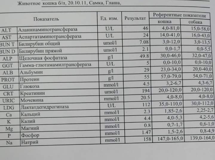 Канефрон Цена В Донецке В Рублях