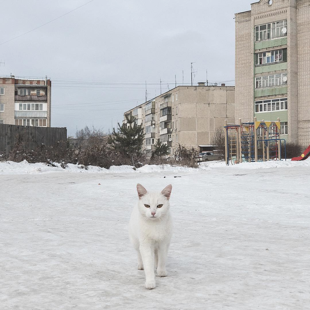 Рандомная подборка без смысла - Фотография, Подборка, Длиннопост