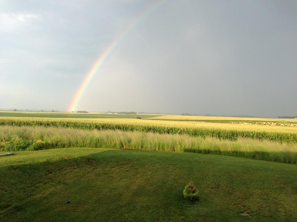 Rainbow - Радуга, Фотография