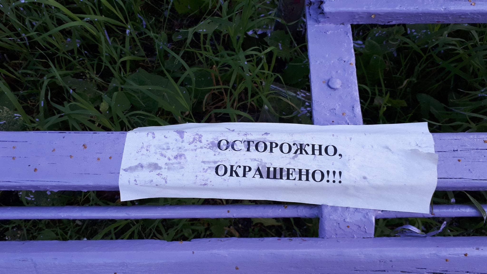 Taking care of people - Arkhangelsk, Care, Benches, Painting