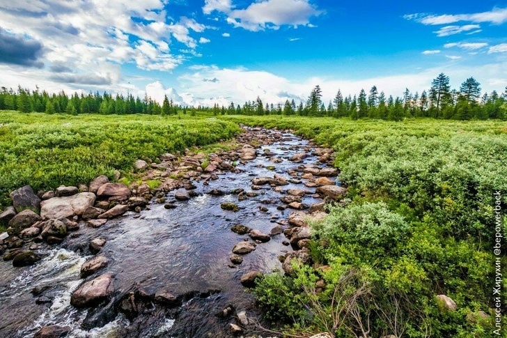 The dirtiest track in the world - Travel across Russia, Yakutia, Motorists, Track, Russian roads, Travels, Road, Lena, Longpost