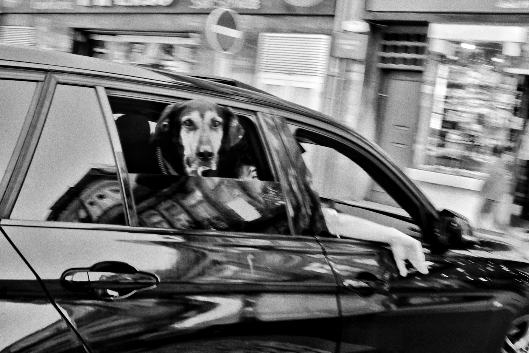 My street photography - My, The photo, Straight, Paris, Beginning photographer, Longpost, Fuck aesthetics