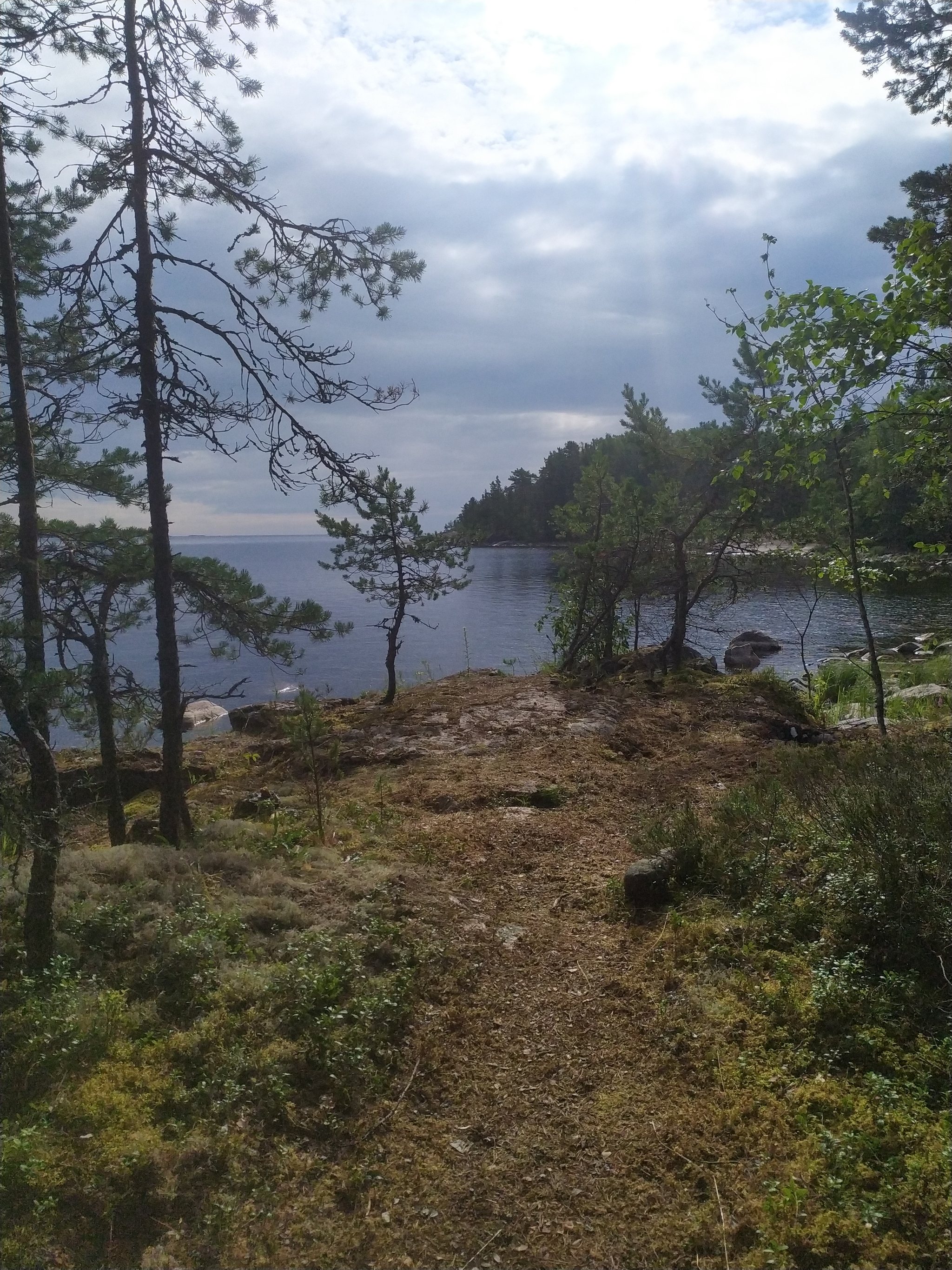 Nature of Lake Ladoga - My, Weekend, beauty of nature, Ladoga lake, Mobile photography, Nature, Longpost