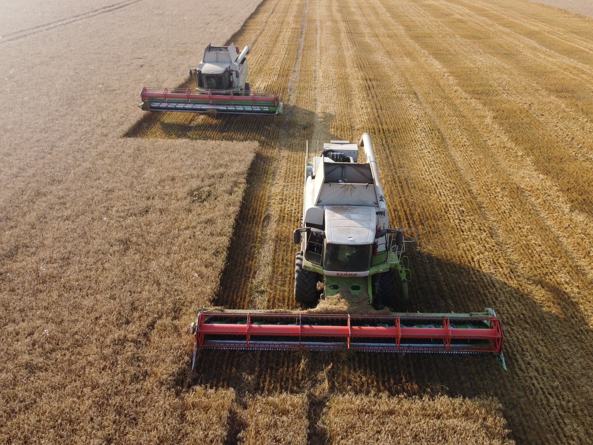 Harvesting or spontaneous rides on the combine - My, Combine harvester, Harvest, The photo, DJI Mavic, Longpost