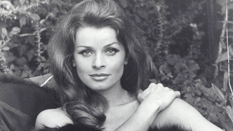 Vintage beauty. Senta Berger. Photo post - Actors and actresses, German cinema, The photo, Retro, beauty, Longpost