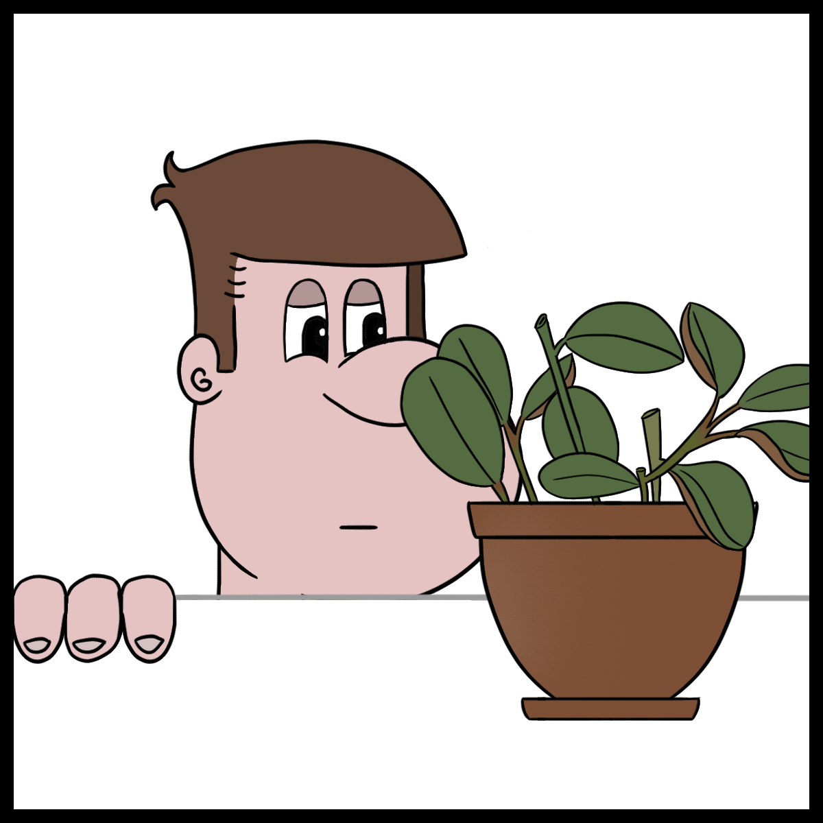 Silly Stories. Peperomia - My, Comics, Web comic, Author's comic, Houseplants, Peperomia, Plants, Longpost