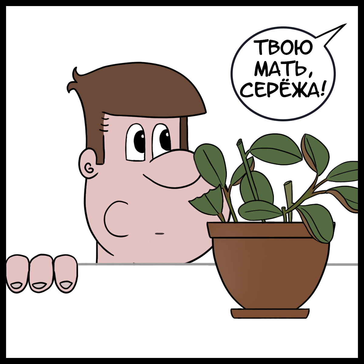 Silly Stories. Peperomia - My, Comics, Web comic, Author's comic, Houseplants, Peperomia, Plants, Longpost