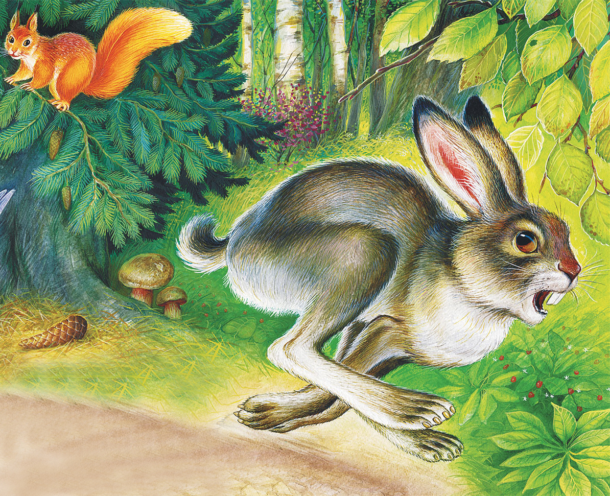 Сбежать от зверя читать. Зайцы в сказках. Зайчик в лесу. Зайчик в лесу для детей.