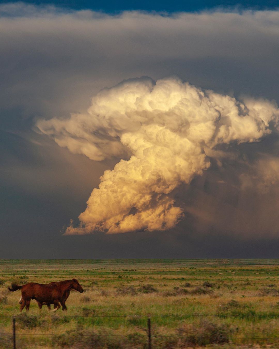 Photographer Jeff Gammons - Photographer, Nature, Hurricane, Longpost