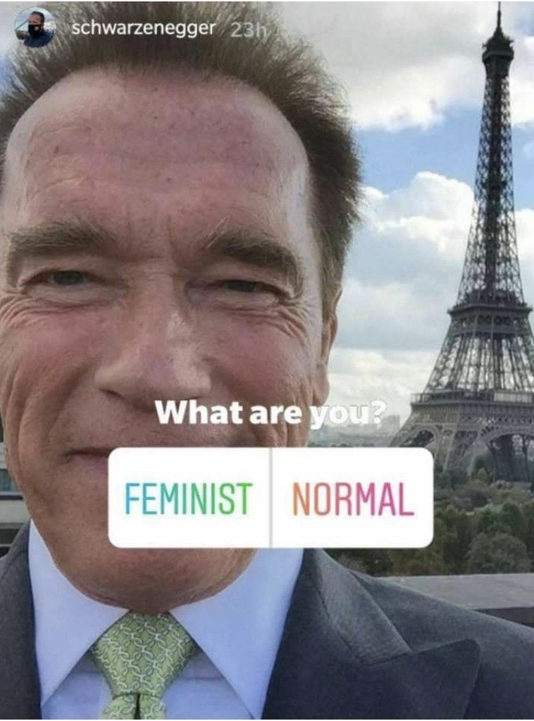 Arnie is handsome! - Arnold Schwarzenegger, Feminism, The photo