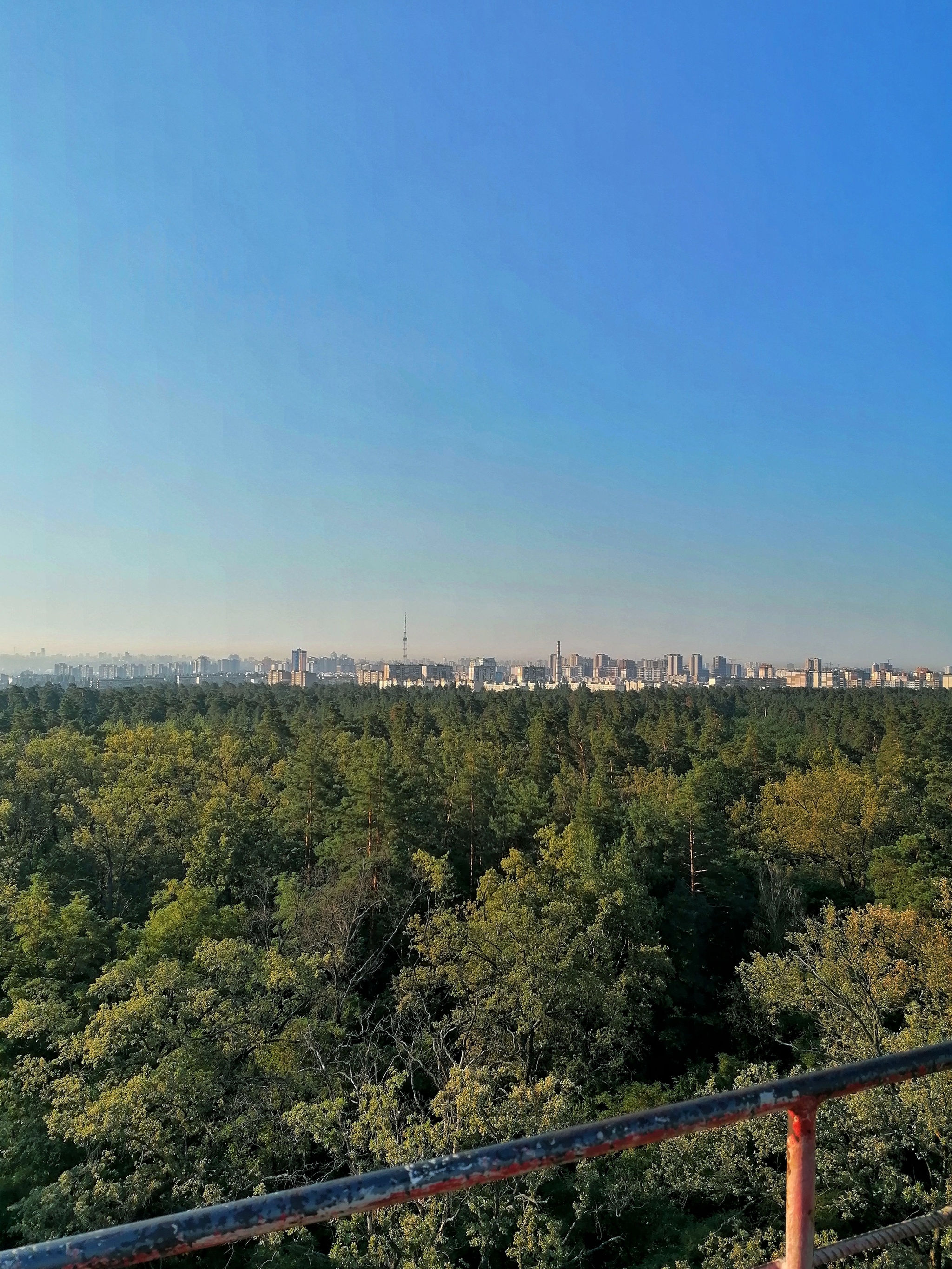 I remembered my childhood. Climbed onto the tower - My, Forest, A bike, Height, Watchtower, Longpost