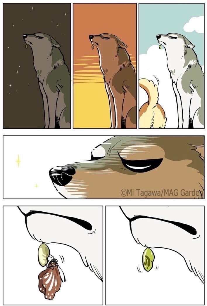 Patience is rewarded - Comics, Wolf, Hunter, Patience, Longpost