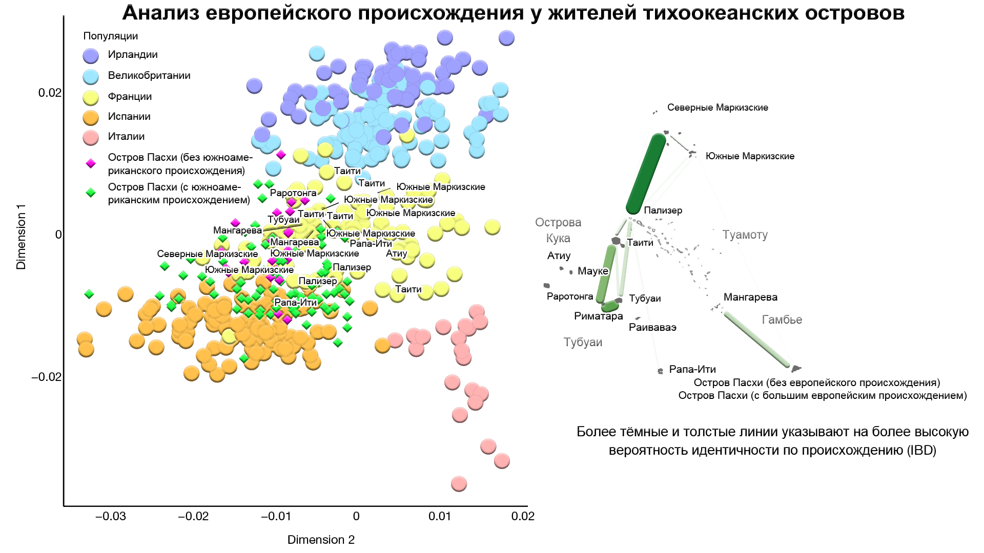 Доколумбовые контакты между Полинезией и Южной Америкой - Моё, Наука, Популяционная генетика, Остров Пасхи, Генетика, Длиннопост, Тур Хейердал, Полинезия, Южная Америка, Индейцы, Видео, Гифка