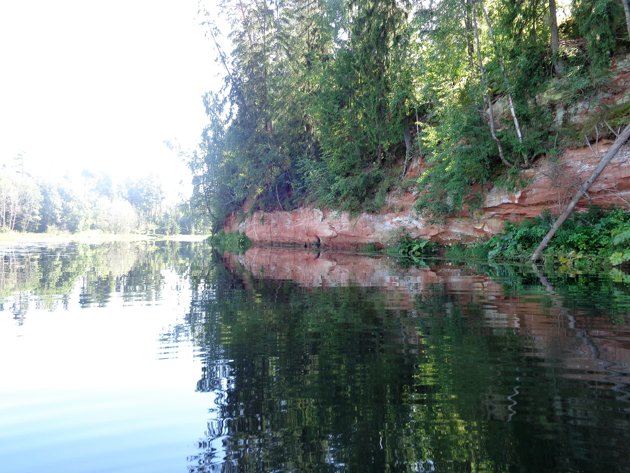 Оредеж река нестерково. Как люди влияют на оредеж. Река суйда. Как люди влияют на оредеж. Река оредеж гатчинский район поселок чаща.