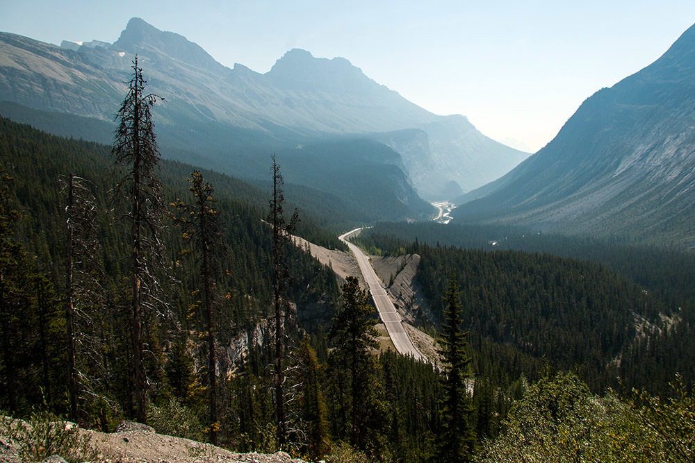 One of the most beautiful roads in the world - Icefields Parkway, Alberta, Canada - My, Canada, Alberta, Road, Travels, Wild animals, Lake, The mountains, Rocky Mountains, Longpost