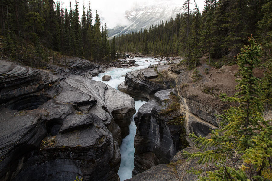 One of the most beautiful roads in the world - Icefields Parkway, Alberta, Canada - My, Canada, Alberta, Road, Travels, Wild animals, Lake, The mountains, Rocky Mountains, Longpost