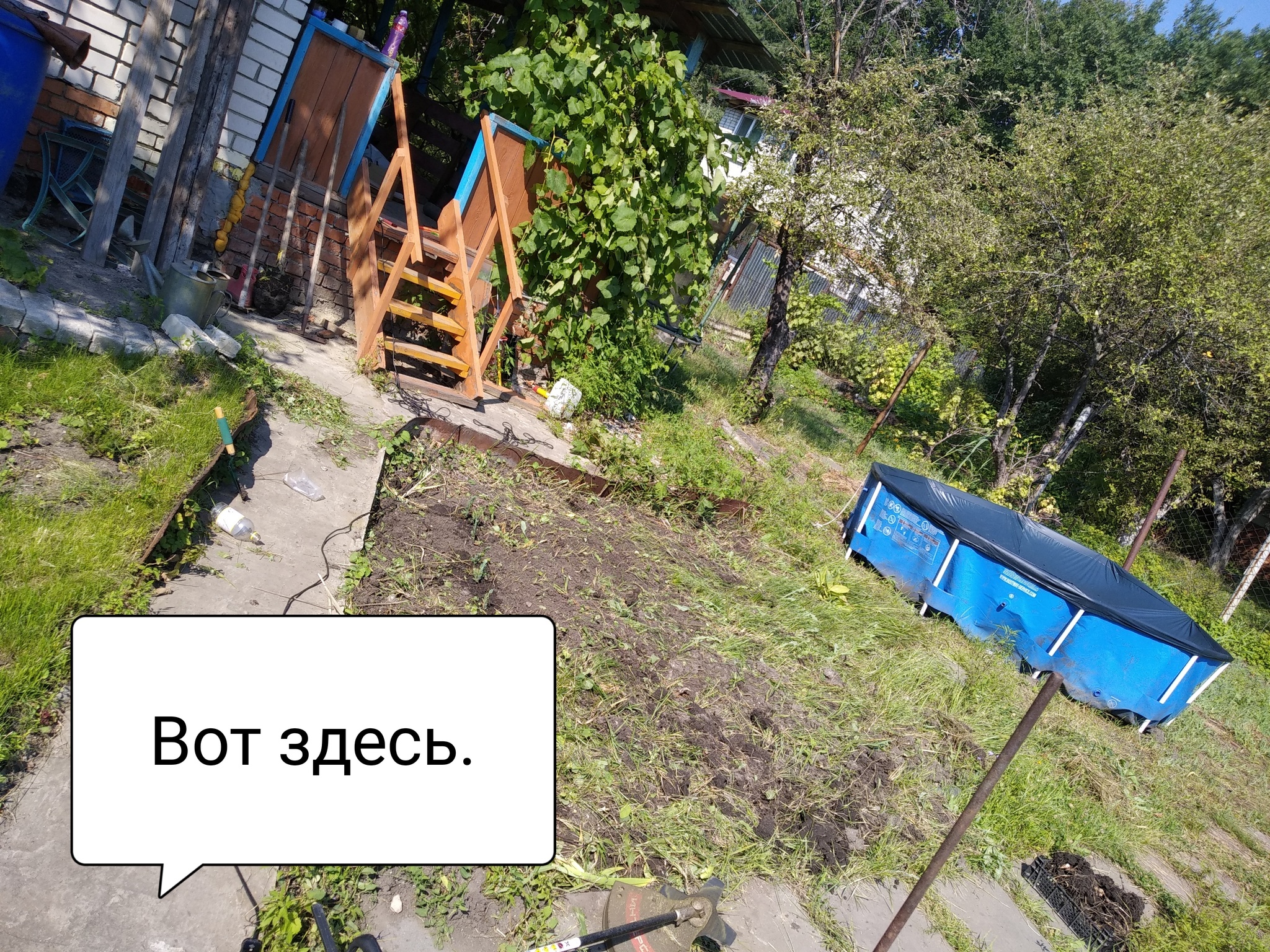 Diary of a Loser - My, Dacha, Drain, Drainage, Longpost