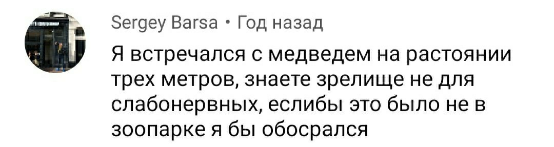 О встречах с медведем - Бурые медведи, Комментарии, Длиннопост, Медведи, Скриншот