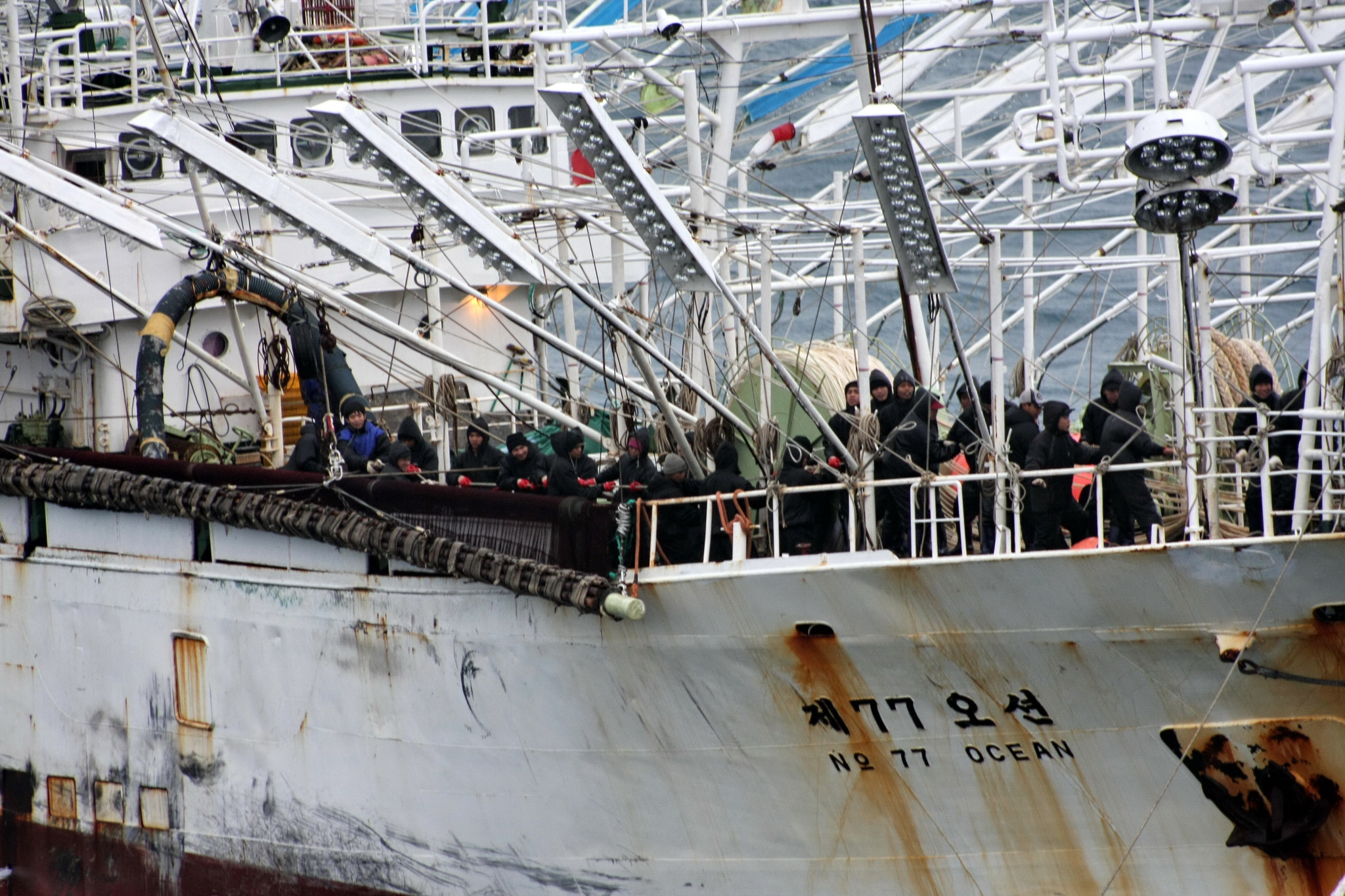 Sea locust - My, Tanker, Fishermen, Squid, Work at sea, The photo, Longpost