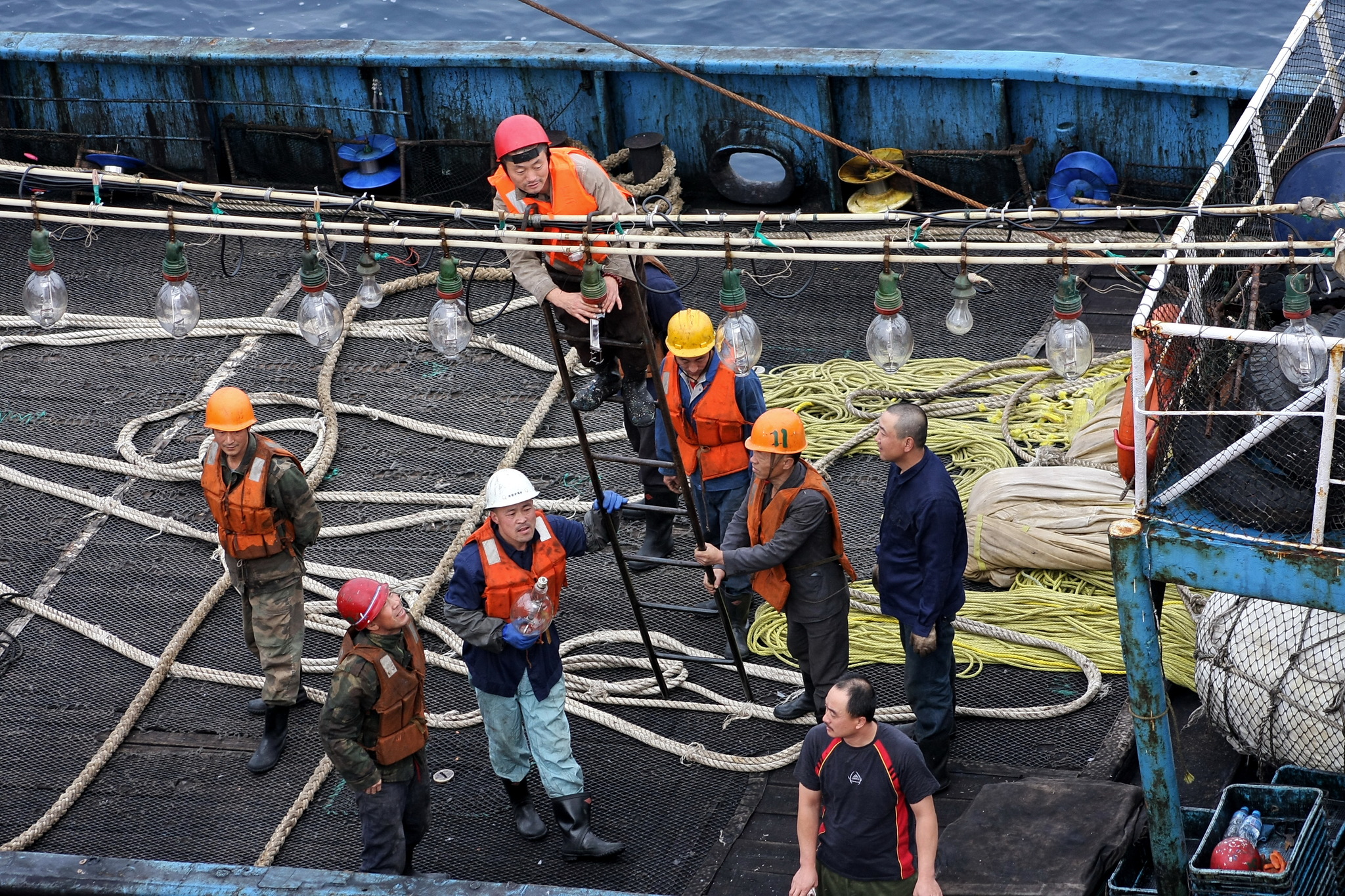 Sea locust - My, Tanker, Fishermen, Squid, Work at sea, The photo, Longpost