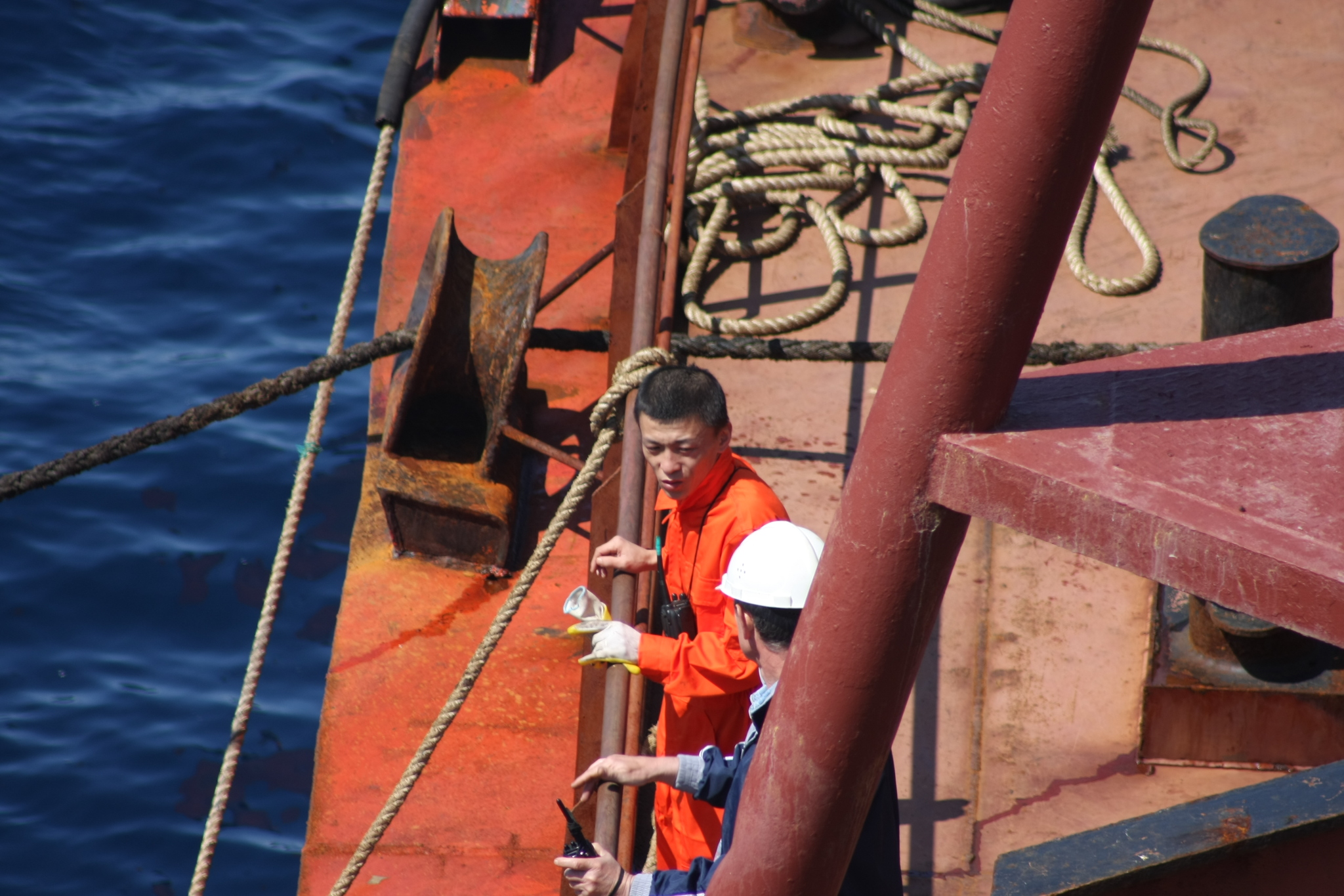 Sea locust - My, Tanker, Fishermen, Squid, Work at sea, The photo, Longpost