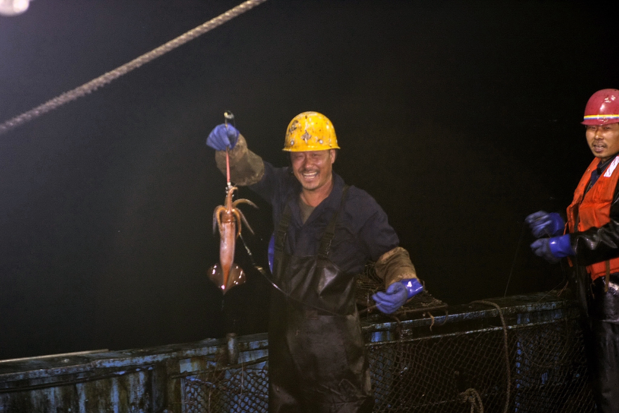 Sea locust. Continuation - My, Work at sea, Fishermen, Squid, Longpost, The photo