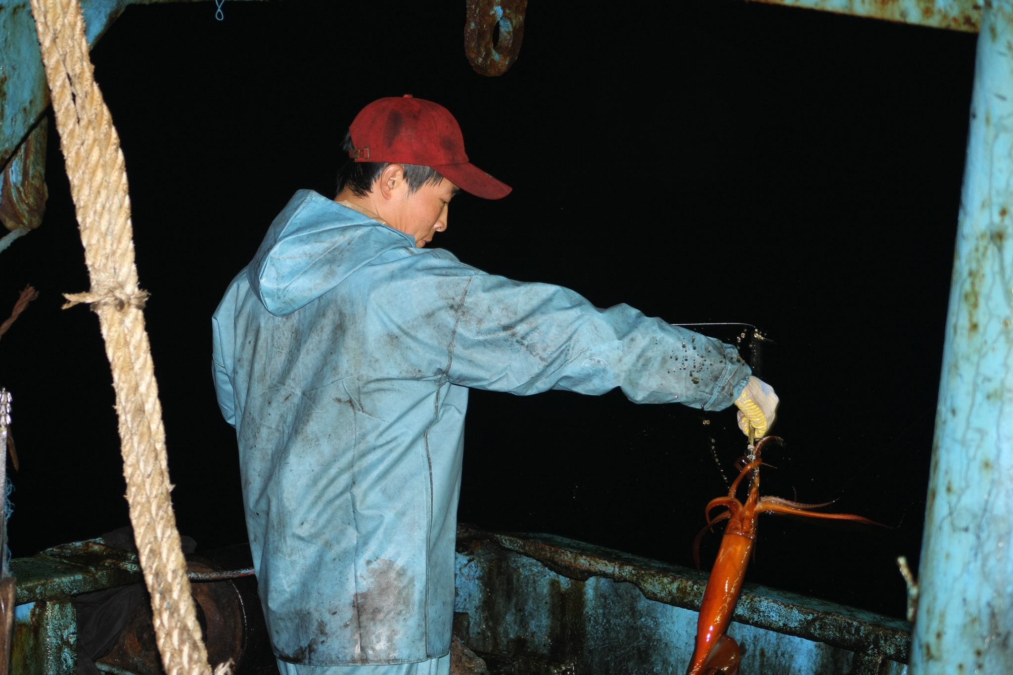 Sea locust. Continuation - My, Work at sea, Fishermen, Squid, Longpost, The photo