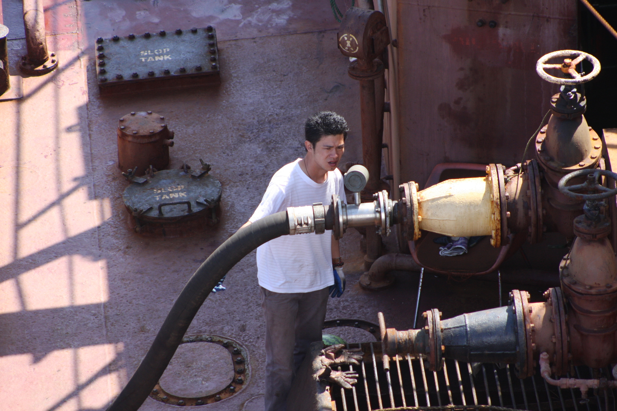 Sea locust. Continuation - My, Work at sea, Fishermen, Squid, Longpost, The photo