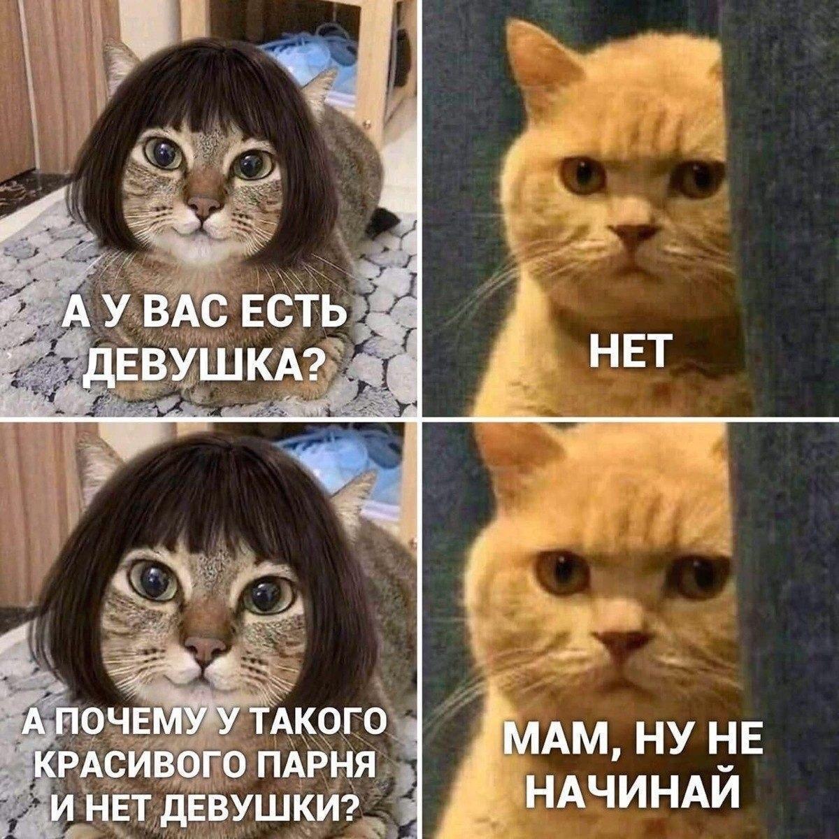 Время ещё не пришло - Кот, Девушки