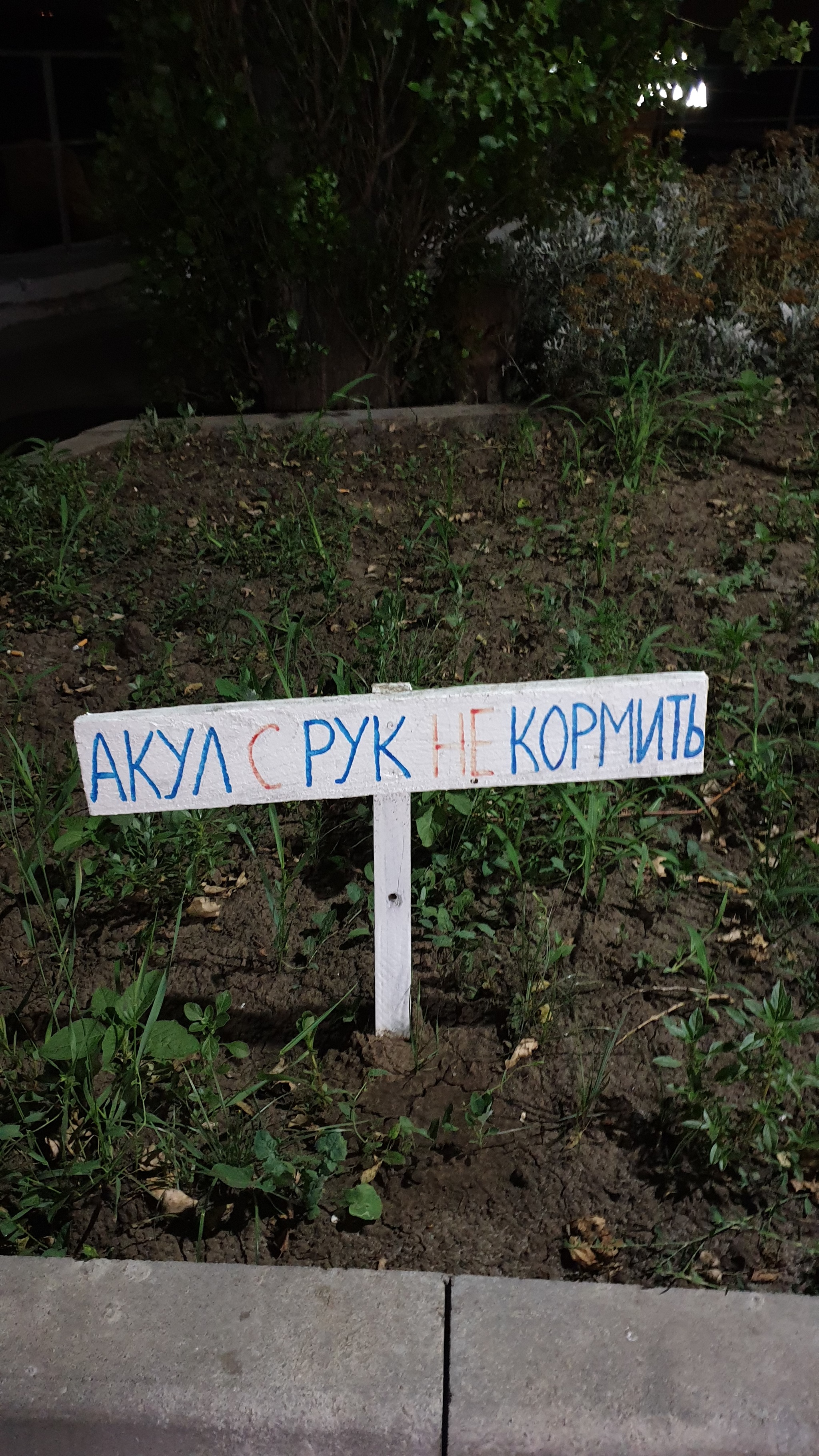 Odessa signs - My, Odessa, Longpost, Humor, Black Sea