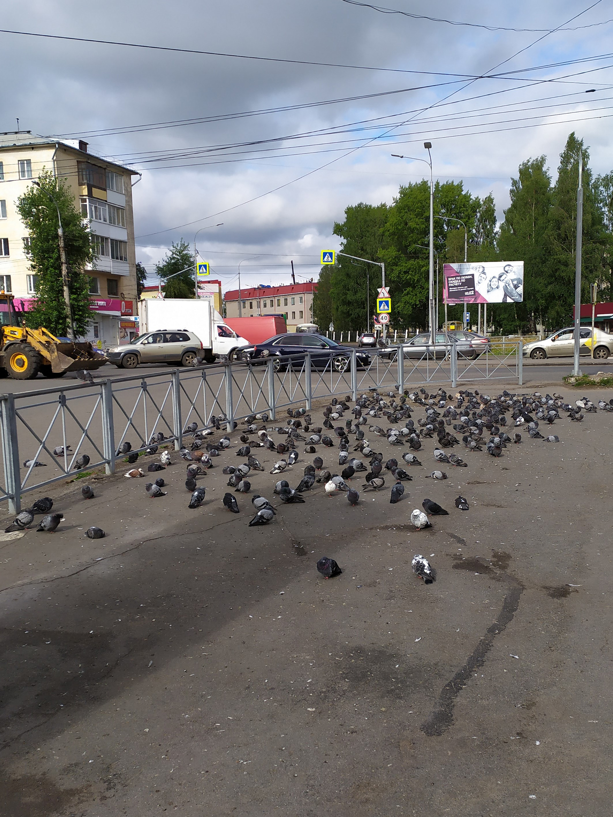 Когда зашёл в чужой район | Пикабу