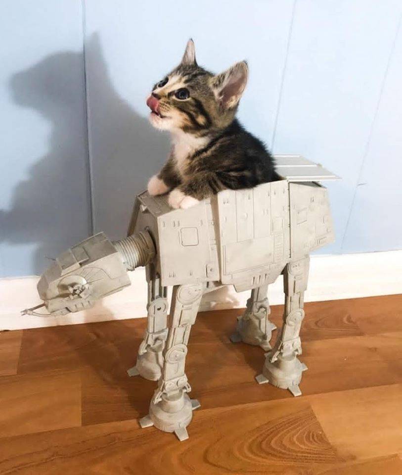 Вкусняшки гони! - Кот, Котята, Милота, Star Wars, At-At