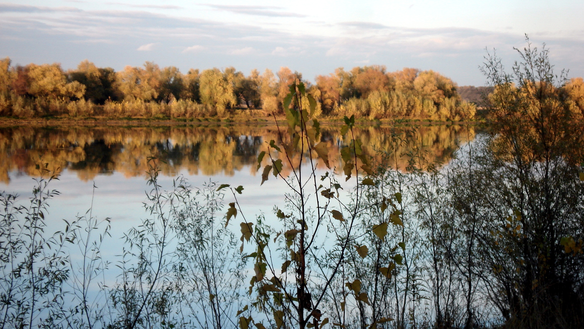 Beloved Irtysh - My, Irtysh, Nature, The photo, Longpost